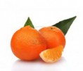Mandarina comùn